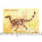 Compsognathus puzzle (48 db)
