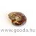 Ammonitesz (madagaszkári, kicsi) 0002