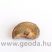 Ammonitesz (félbevágott) 0001